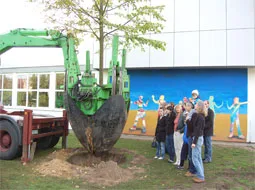 Ein Bagger setzt den Wurzelballen der Linde ein, daneben stehen Kinder und Erwachsene.