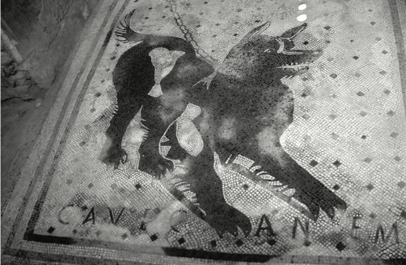 Ein römisches Mosaik von einem Hund
