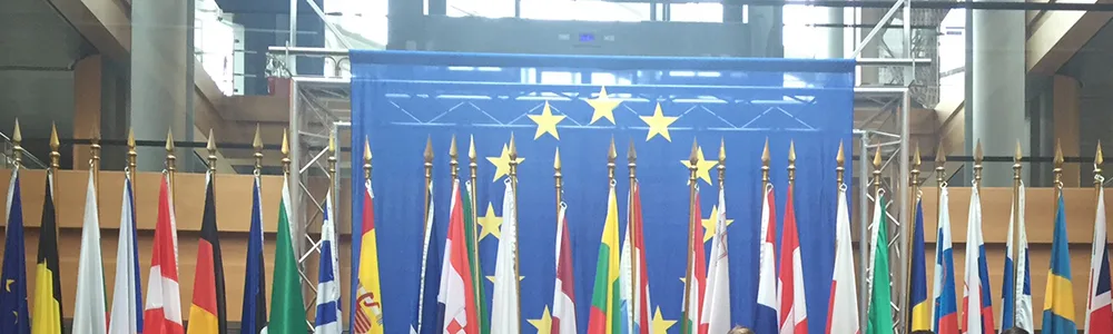 Die Fahnen der EU-Mitgliedstaaten stehen im Europäischen Parlament in Straßburg vor dem blauen Emblem mit dem Sternenkranz.