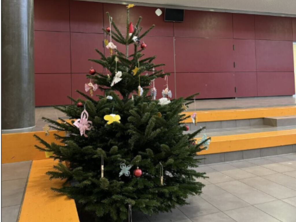 Der Weihnachtsbaum in der Aula