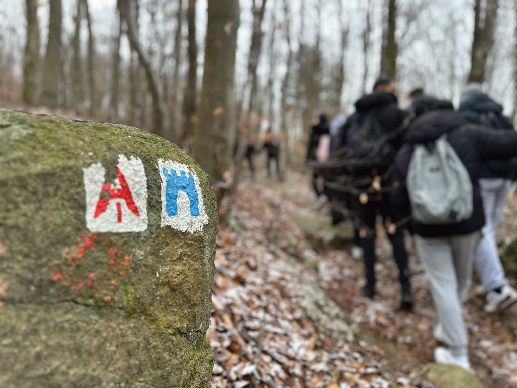 Ein Felsstein mit aufgemalten Wanderweg-Markierungen, darunter eine blaue Burg auf weißem Grund; im unscharfen Hintergrund wandert eine Gruppe durch einen winterlichen Laubwald.