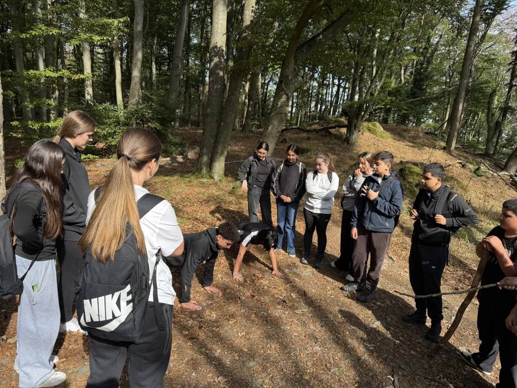 Zwei Jugendliche stützen sich auf dem Waldboden zum Liegestütz ab, ringsum steht die Klasse im Halbkreis und schaut zu. Sonnenlicht fällt durch hohe Buchenstämme.