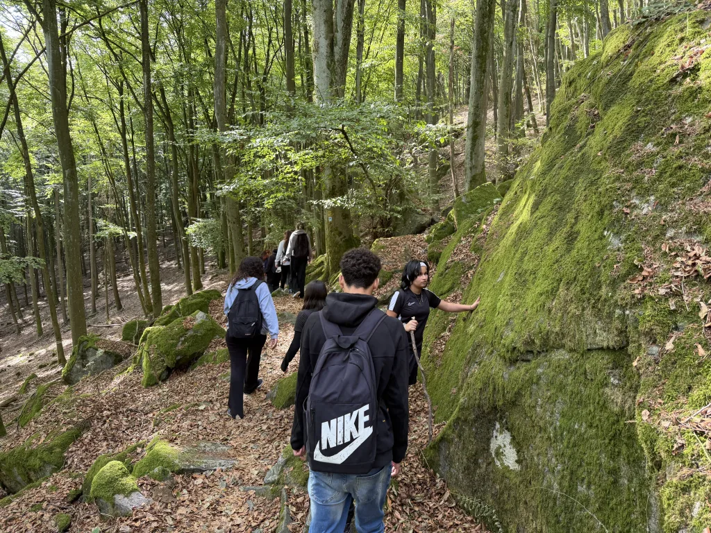 Eine Gruppe wandert auf einem schmalen Waldpfad an einer hohen, dicht mit Moos bewachsenen Felswand entlang. Eine Schülerin legt im Vorbeigehen die Hand an den Stein.