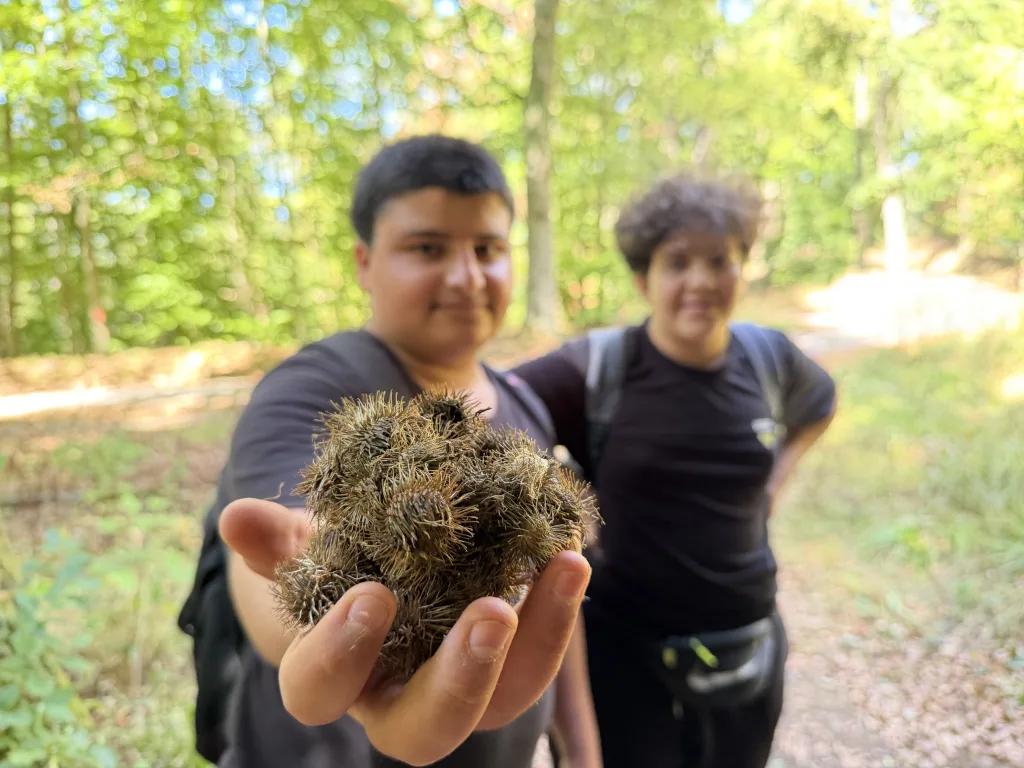 Ein Schüler streckt eine Handvoll stacheliger Kletten in die Kamera. Die Früchte sind scharf abgebildet, er selbst und eine zweite Person dahinter bleiben unscharf.