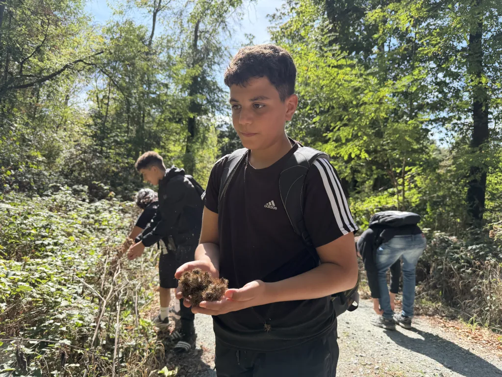 Ein Schüler steht auf einem sonnigen Waldweg und hält Kletten in beiden Händen. Hinter ihm pflücken zwei weitere Jugendliche Kletten von den Sträuchern am Wegrand.