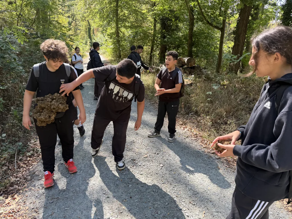 Auf einem sonnigen Waldweg trägt ein Schüler einen großen Klettenball an der Schulter, ein anderer bückt sich lachend nach weiteren Kletten. Rechts im Bild hält eine Schülerin ebenfalls Kletten in den Händen.