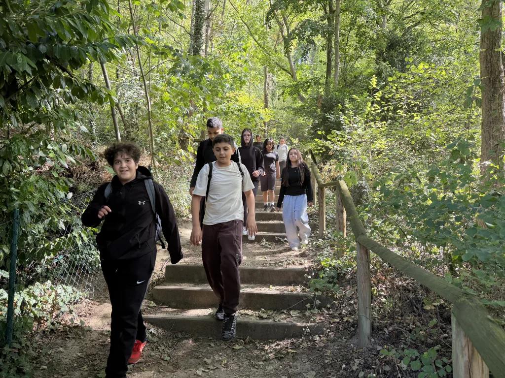 Jugendliche kommen eine lange Treppe im Wald herunter, rechts begleitet ein Holzgeländer den Weg. Die beiden vordersten schauen lachend in die Kamera.