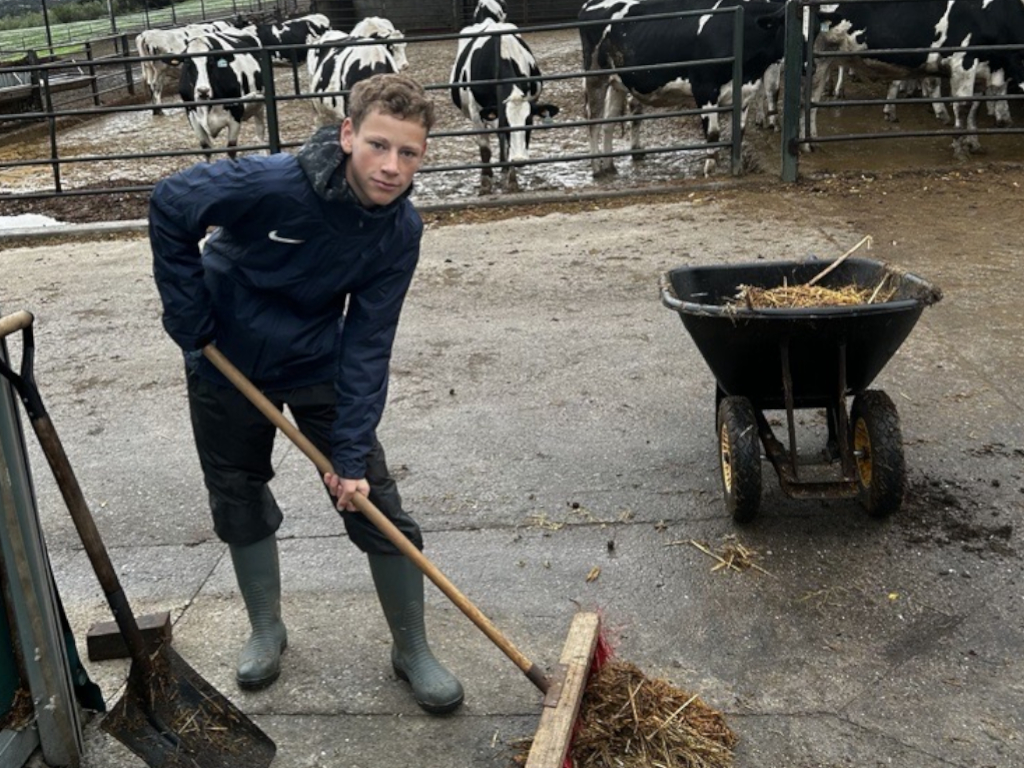 Julian Stall Bauernhof 2024