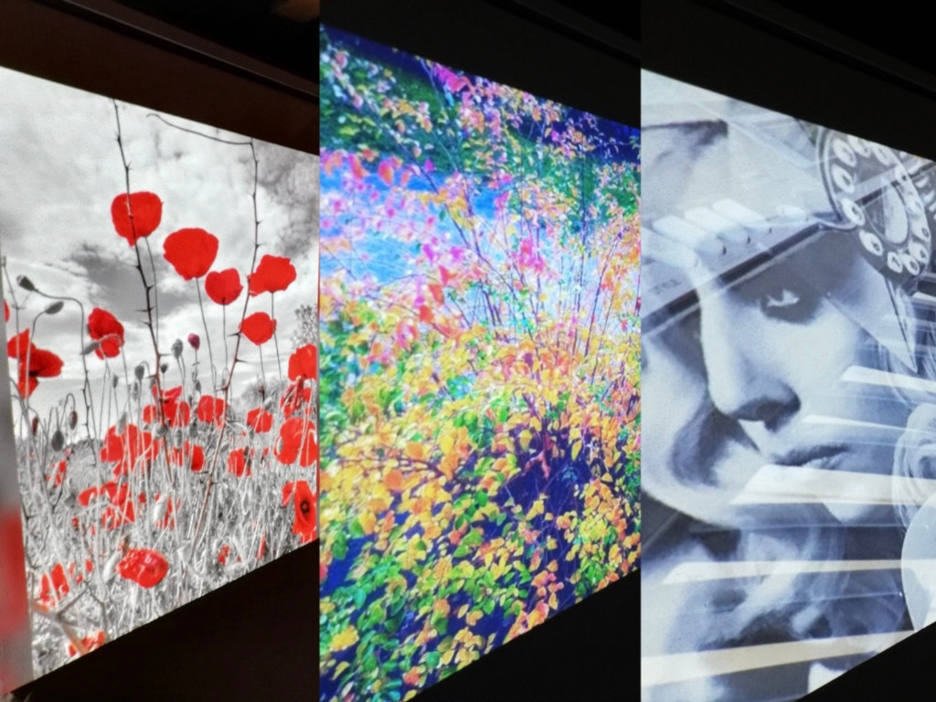 Fotos des Fotowettbewerbs Fotos des Fotowettbewerbs