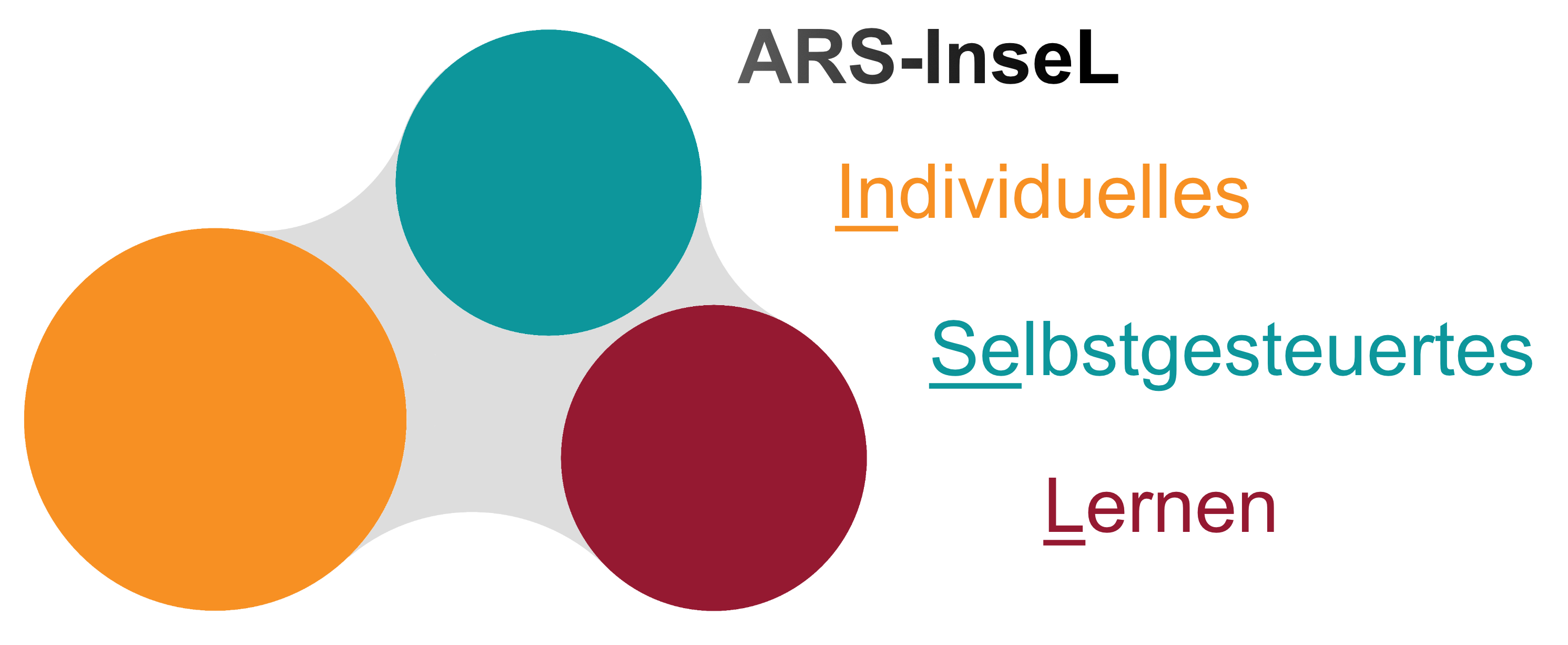 Logo ARS Insel Schriftzug